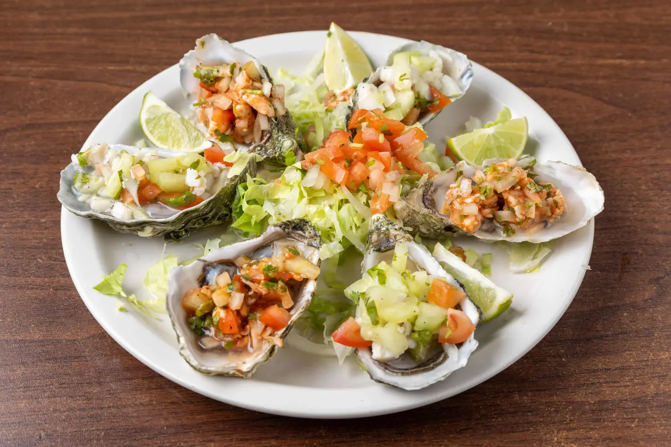 1 Doz Oyster